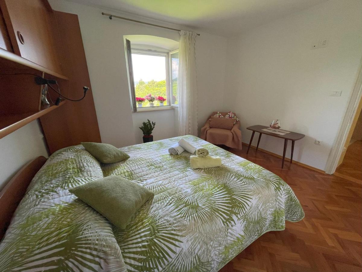 Apartment Kastel Pazin Exteriér fotografie